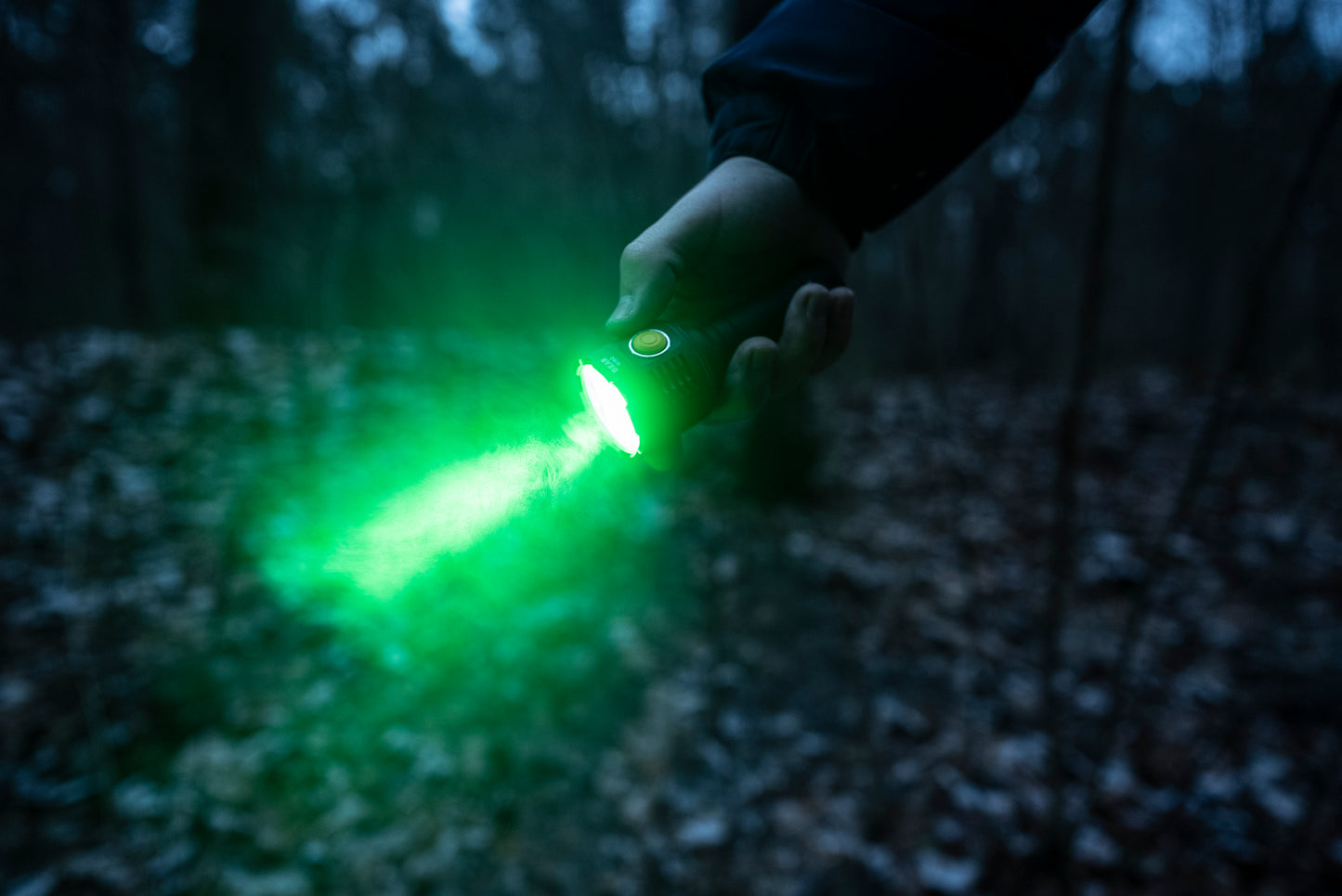 Bear WRG - 1500 Lumens Blanc / 180 Lumens Vert / 130 Lumens Rouge