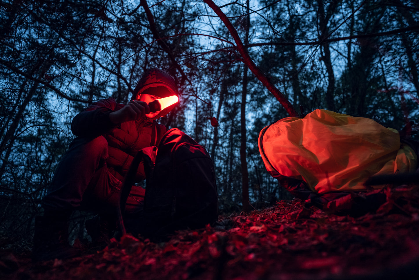 Bear WRG - 1500 Lumens Blanc / 180 Lumens Vert / 130 Lumens Rouge