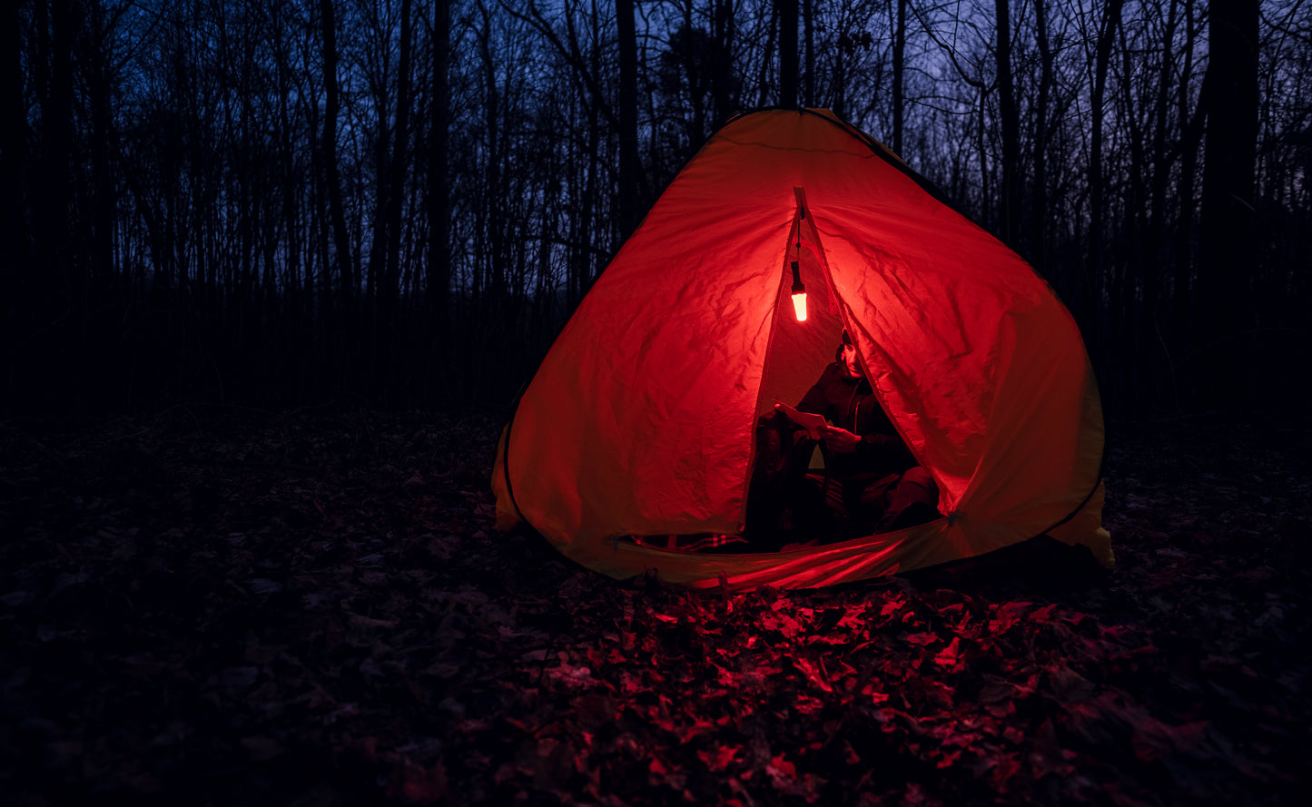 Bear WRG - 1500 Lumens Blanc / 180 Lumens Vert / 130 Lumens Rouge