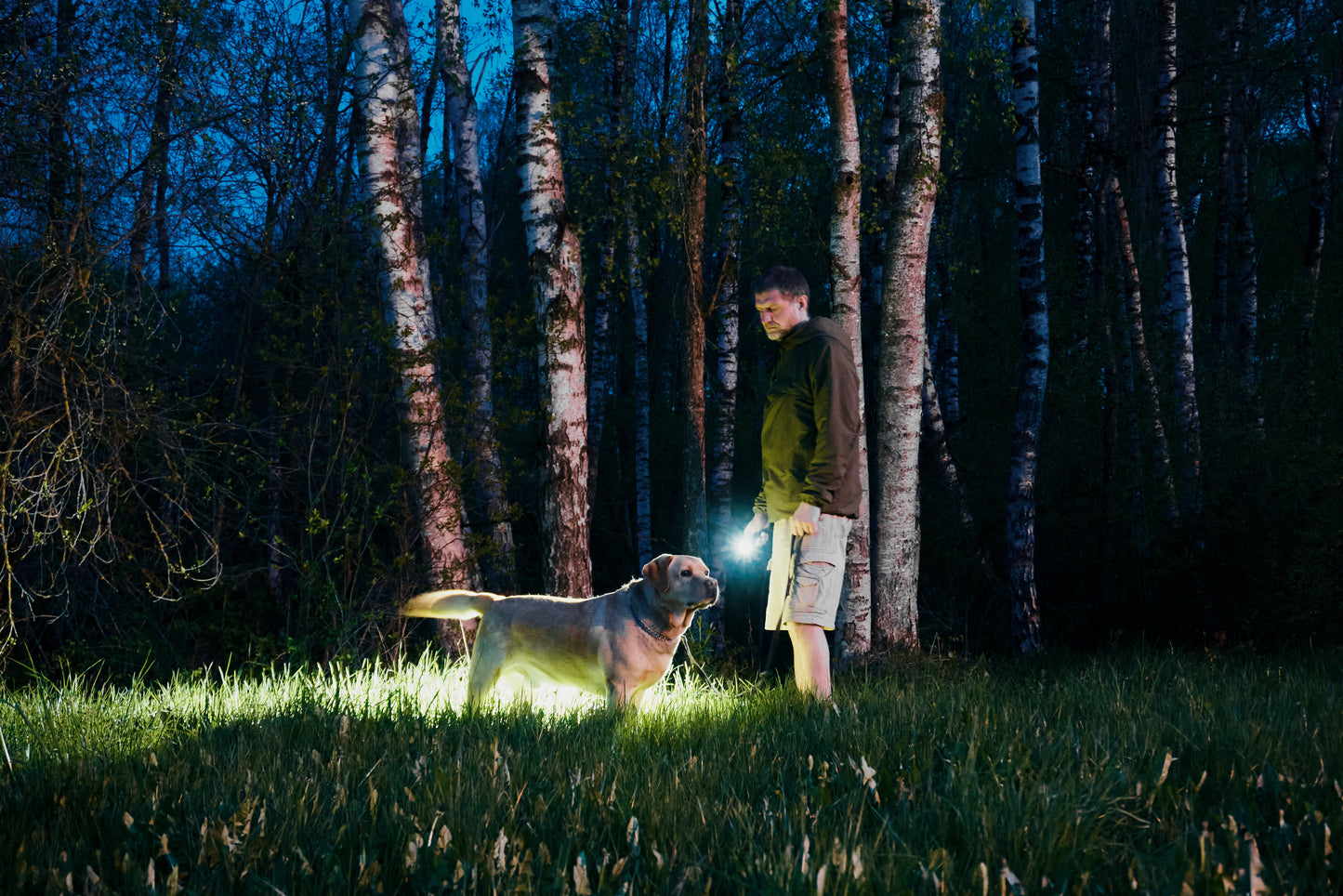 Prime C2 PRO V4 Magnet USB – 2400/2230 Lumens White